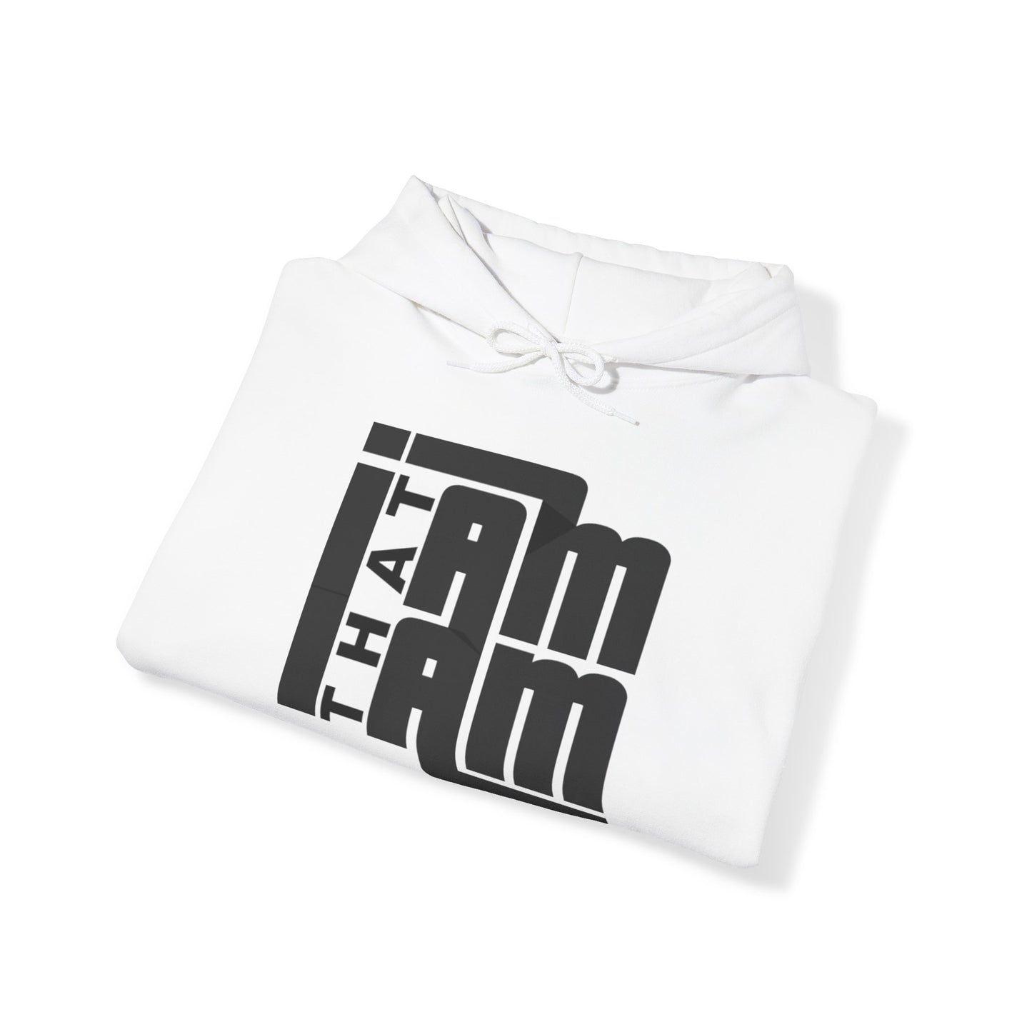 Sweat à capuche ITI (Blanc)
