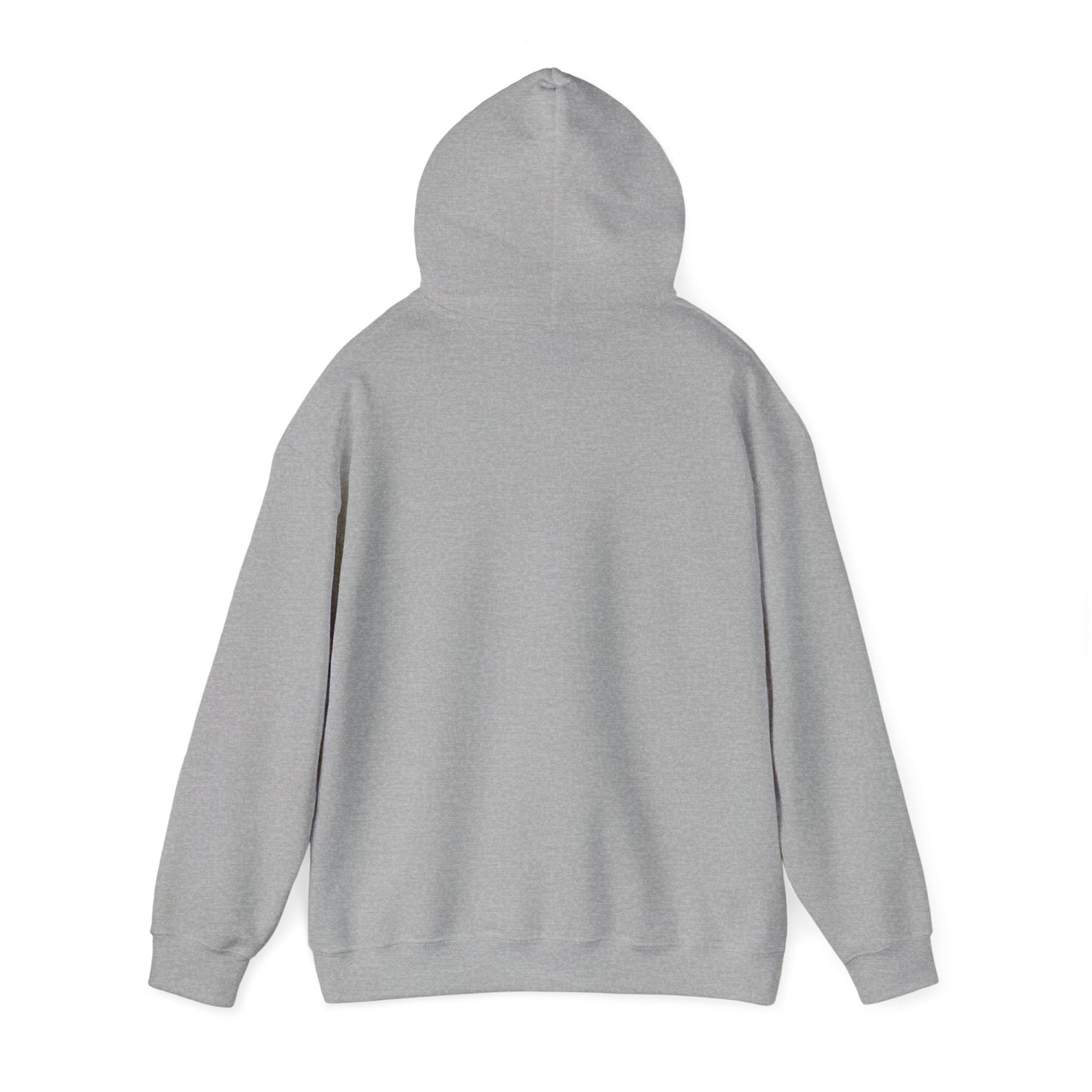 ITI Hoodie