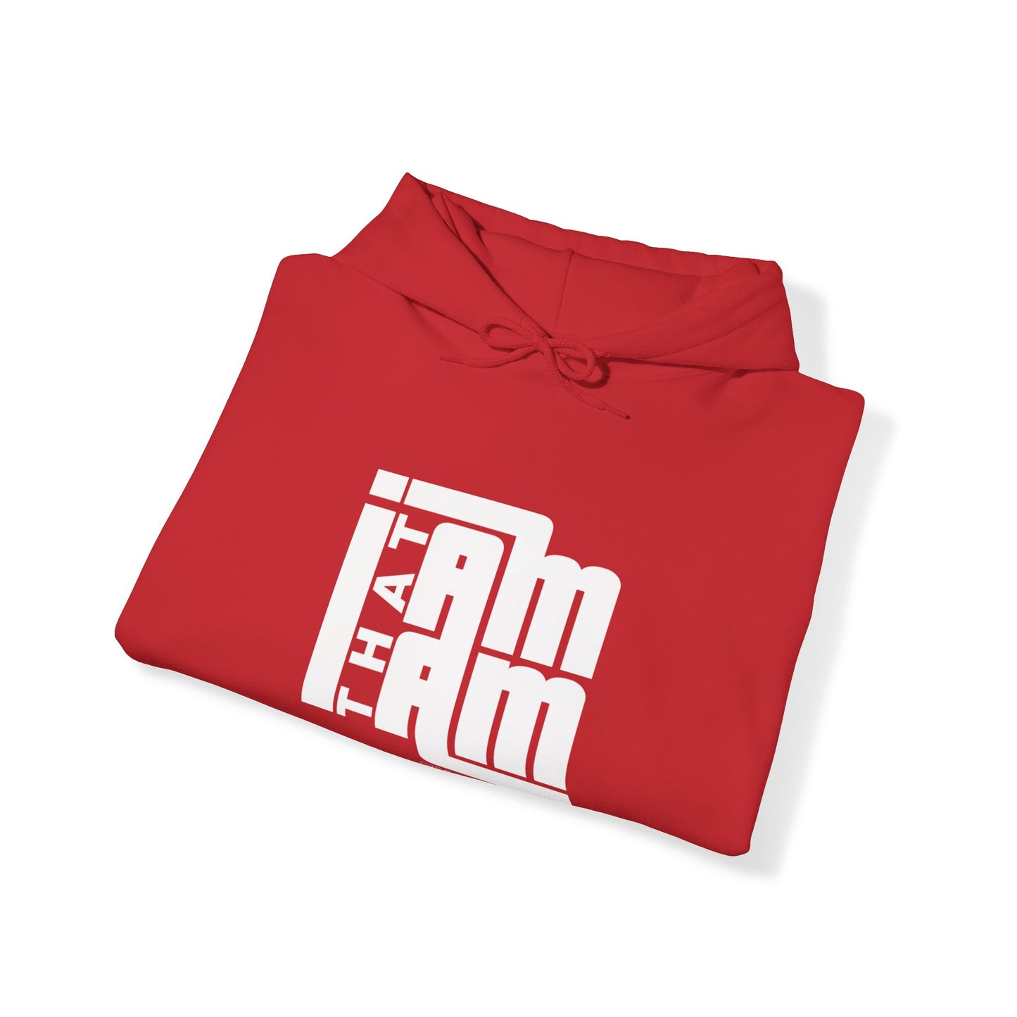 ITI Hoodie